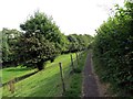 Llwybr Llandybie Path