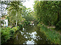 Basingstoke Canal, Brookwood