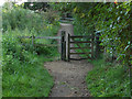 River Wey Navigation towpath