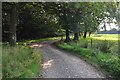 Mid Devon : Farm Track