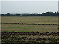 Stubble field off Church Road