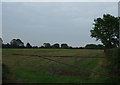 Farmland, Tarbock Green