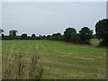 Farmland north of Water Lane