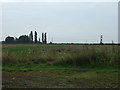 Farmland south of Alder Lane