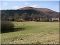 Blorenge looms behind Llanfoist