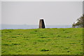 North Devon : Grassy Field