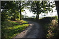 Mid Devon : Farm Track