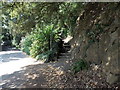 Steps on a public footpath opposite Alma Road, Langland, Swansea