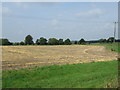 Farmland, Dagnals Bridge Farm