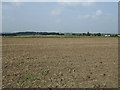 Farmland near Crank