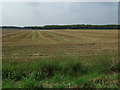 SD5001 : Stubble field near Kings Moss by JThomas