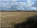 Stubble field north of Giltons