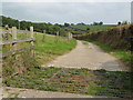 The drive to Barleycombe, near South Brent