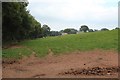 Field near Old Harpfields