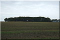 Farmland towards Fairhurst