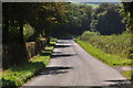 West Devon : Country Lane