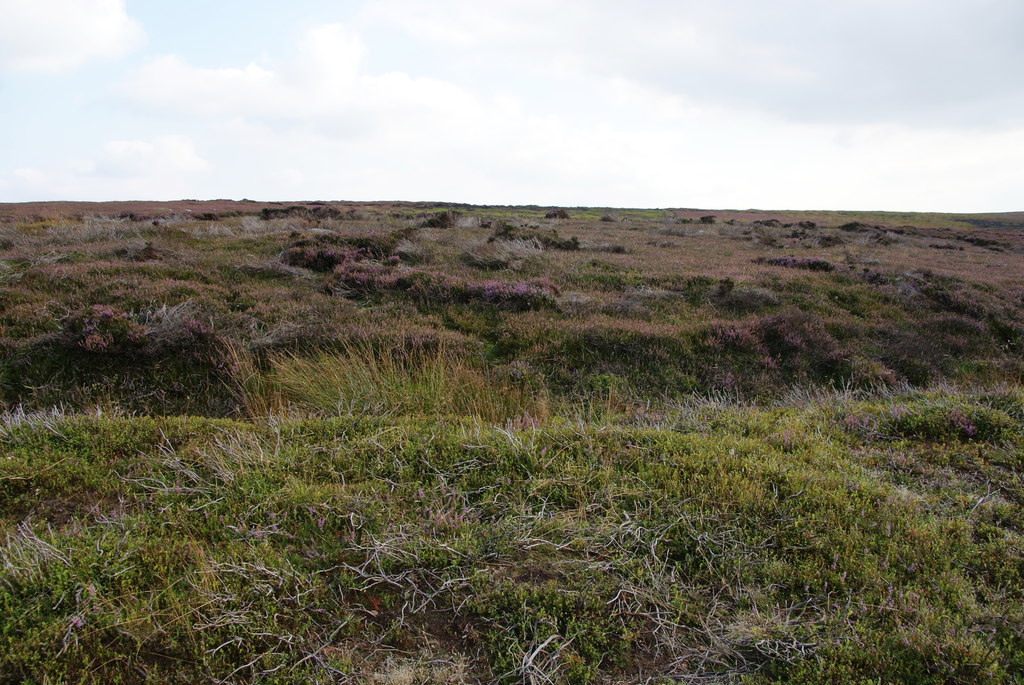 Glaisdale Moor © Bill Boaden Cc-by-sa 2.0 :: Geograph Britain And Ireland