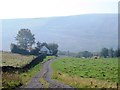 Rough pastures at Tortie