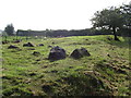 The site of the long cairn of the Ballykeel Dolmen