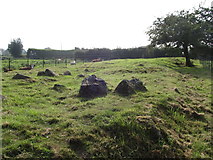 H9921 : The site of the long cairn of the Ballykeel Dolmen by Eric Jones