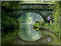 SJ8459 : Deakins Bridge north-east of Scholar Green, Cheshire by Roger  Kidd