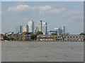 Isle Of Dogs