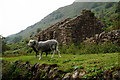 NY1701 : Ruins at Boot, Cumbria by Peter Trimming