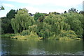 Weeping Willows, Glen Island