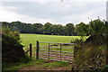 West Somerset : Grassy Field & Gate