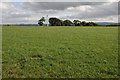 Farmland above Bont-Newydd