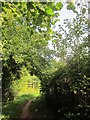 Bridleway approaching Browns Bridge Road