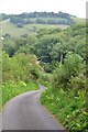 West Somerset : Country Lane