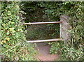 Bars on the footpath