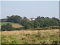 View eastwards across farmland to the Parochial House