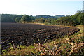 The edge of a ploughed field near Egton Bridge