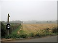 Tollerton: footpath to Plumtree