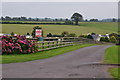 ST0128 : West Somerset : Farm Track by Lewis Clarke