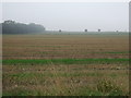 Farmland, Haisthorpe