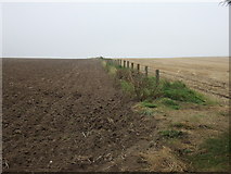 TA1365 : Field boundary off the A614 by JThomas