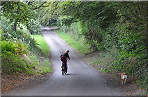 ST0229 : West Somerset : Country Lane by Lewis Clarke