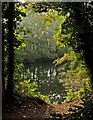 Oare Gunpowder Works pond