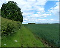 Farmland east of the Fosse Way