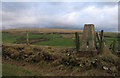 Trig point of Haile