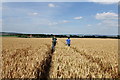 Footpath out of Offham