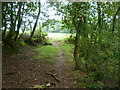 Footpath to Blowers Hill