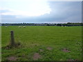 Little-used footpath from Broom Hill