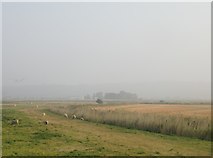 TQ7878 : Grazing and arable marshes west of the Decoy Fleet by Stefan Czapski