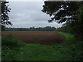 Farmland near Scawby