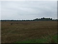 Stubble field off Holme Lane