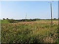 Wetland west of Teer Road